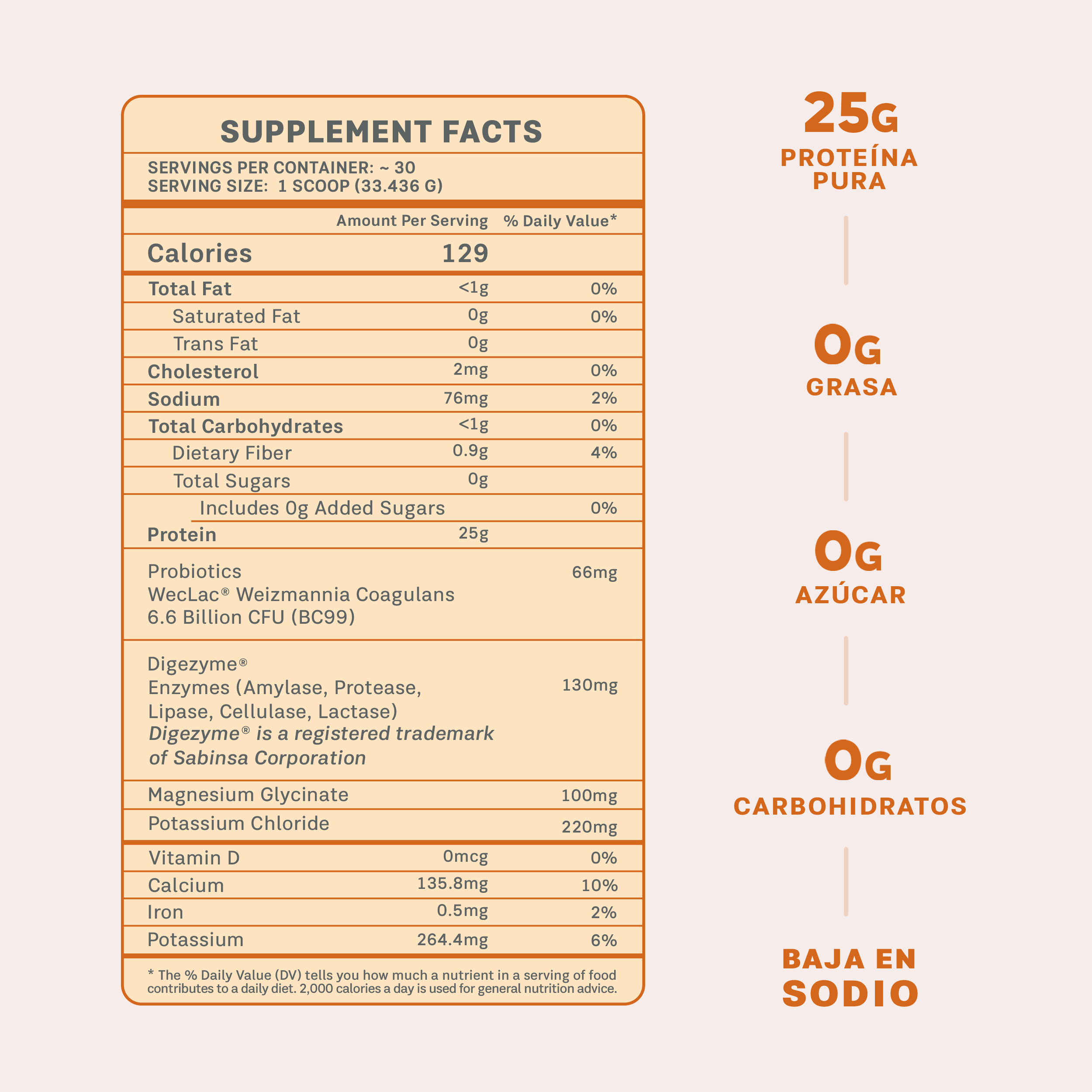 PROTEÍNA - MANTEQUILLA DE MANÍ - Image 4